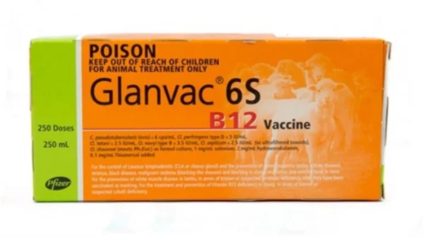 Glanvac 6s B12 250ml